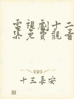 电视剧十二秒全集免费观看