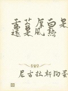 舌苔厚白是风寒还是风热