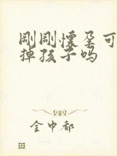 刚刚怀孕可以打掉孩子吗封面