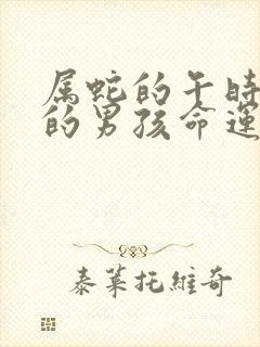 属蛇的午时出生的男孩命运