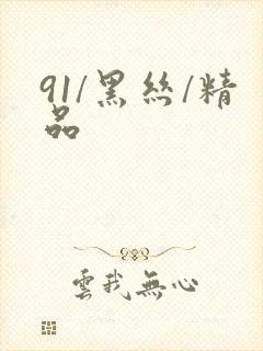91/黑丝/精品