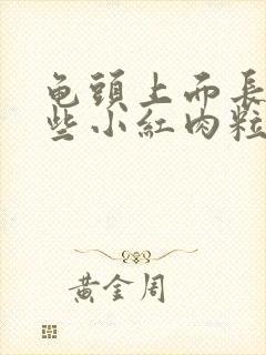 龟头上面长了一些小红肉粒