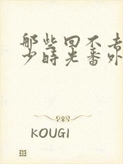 那些回不去的年少时光番外封面