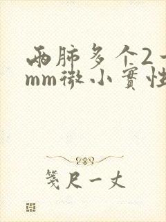 两肺多个2一5mm微小实性结节