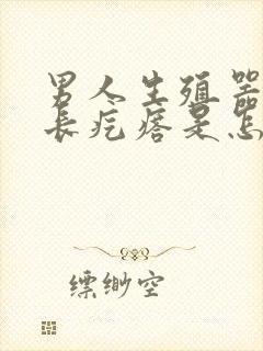 男人生殖器根部长疙瘩是怎么回事