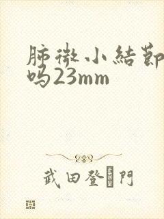 肺微小结节严重吗23mm