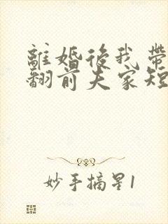 离婚后我带娃虐翻前夫家短剧封面