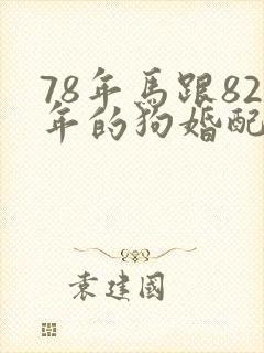 78年马跟82年的狗婚配怎么样