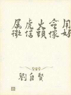 属虎火命用什么微信头像好