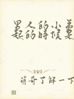 男人的小弟弟勃起的时候是哪个阶段