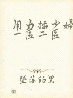 用力插少妇久久一区二区