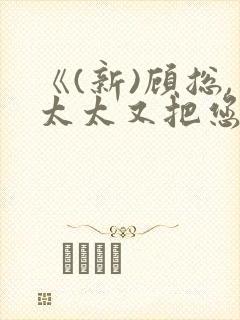 《(新)顾总,太太又把您拉黑了》申浩