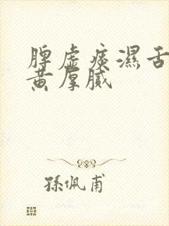 脾虚痰湿舌苔发黄厚腻封面