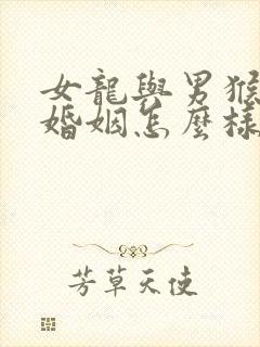 女龙与男猴相配婚姻怎么样