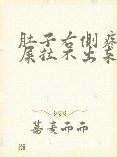 肚子右侧疼想拉屎拉不出来怎么回事