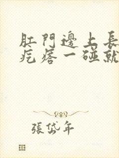 肛门边上长一个疙瘩一碰就疼