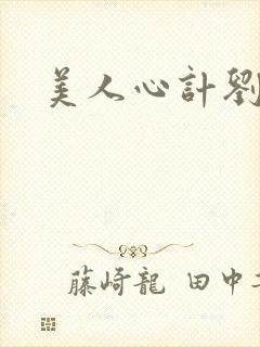 美人心计刘盈