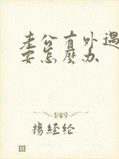 老公有外遇了我要怎么办封面