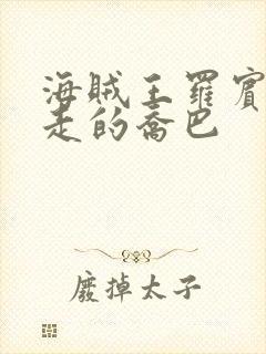 海贼王罗宾和暴走的乔巴