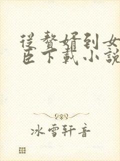 从赘婿到女帝宠臣下载小说封面