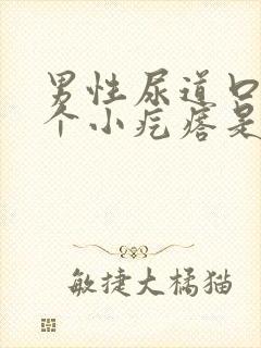 男性尿道口长一个小疙瘩是怎么回事儿