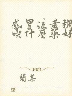 感冒流黄稠鼻涕吃什么药好