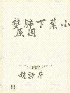 双肺下叶小结节 原因