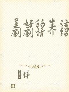 美好的生活电视剧剧情介绍封面