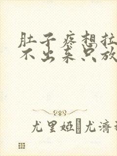 肚子疼想拉屎拉不出来只放屁怎么回事