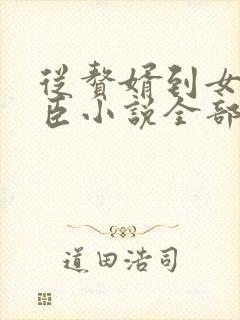 从赘婿到女帝宠臣小说全部章节