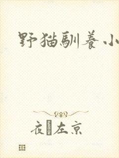 野猫驯养小说封面