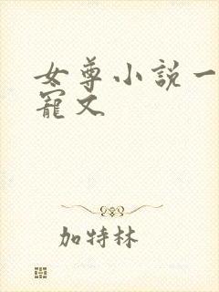 女尊小说一对一宠文