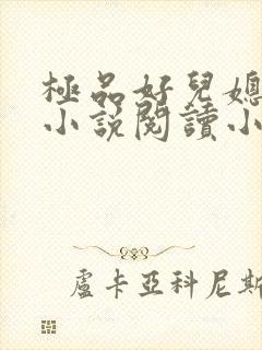 极品好儿媳秦雨小说阅读小说全文封面