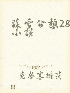 苏雪公憩28篇小说