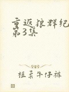 重返狼群纪录片第3集封面