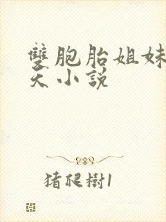 双胞胎姐妹乐翻天小说封面