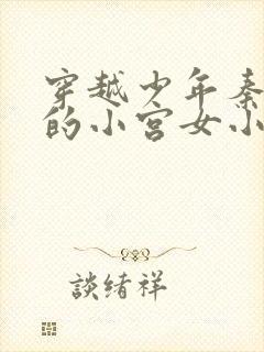 穿越少年秦始皇的小宫女小说