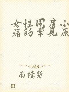 女性同房小腹疼痛的常见原因