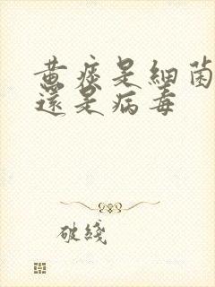 黄痰是细菌感染还是病毒