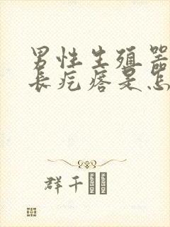 男性生殖器根部长疙瘩是怎么回事