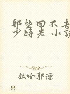 那些回不去的年少时光 小说