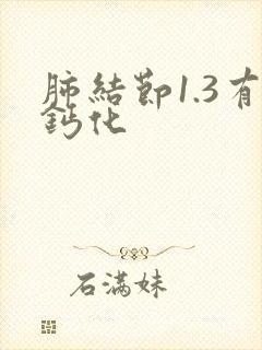 肺结节1.3有钙化