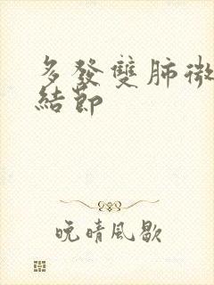 多发双肺微小肺结节封面