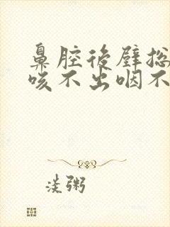 鼻腔后壁总有痰咳不出咽不下