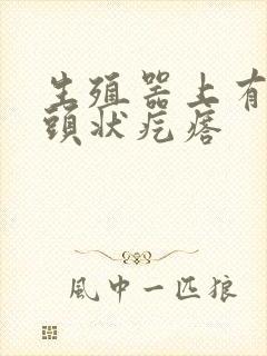 生殖器上有小乳头状疙瘩