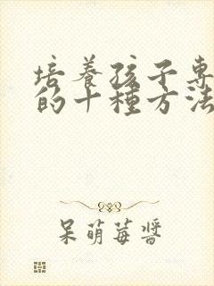 培养孩子专注力的十种方法