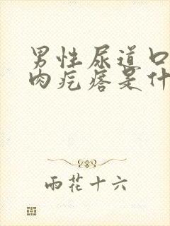 男性尿道口有小肉疙瘩是什么问题