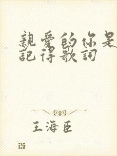 亲爱的你是否还记得歌词封面