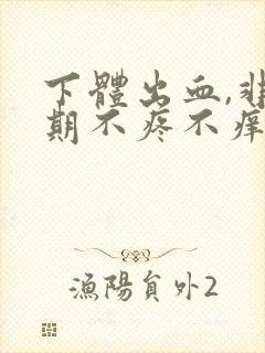 下体出血,非经期不疼不痒