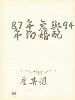 87年兔与94年狗婚配封面